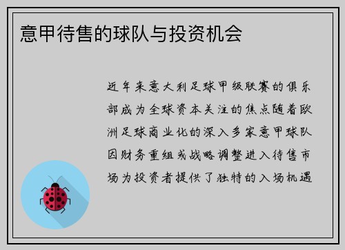 意甲待售的球队与投资机会